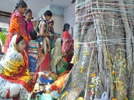 The banyan tree prayers for the longevity of husband
