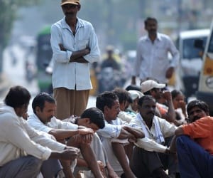 Where is job in this growth