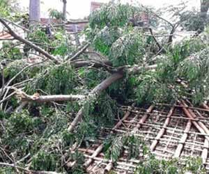 The massive devastation storm, killing 13 in Rajasthan