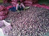 Onions was again featured
