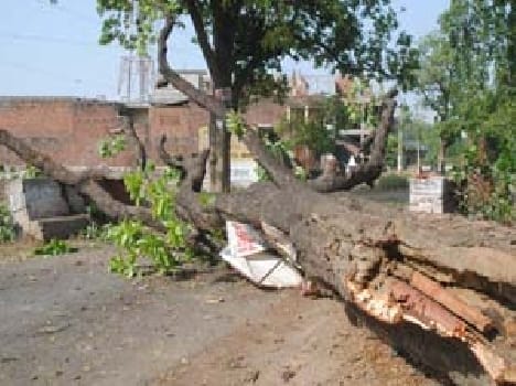 storm in pratapgarh