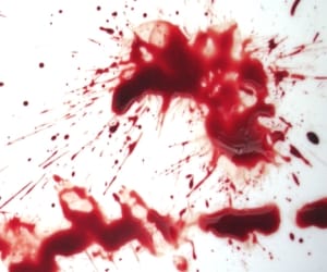 court acquits 7 murder accused