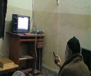 osama bin laden was watched porn film?