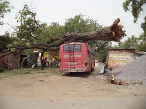 property  storm