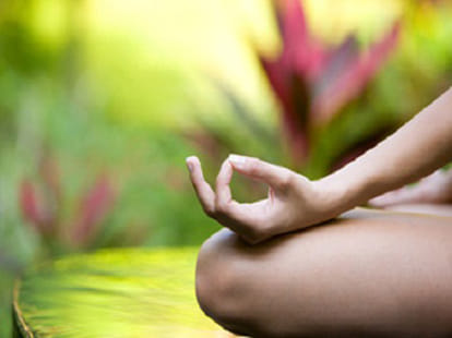 ias officer sent jail to gardener for disturbing during yoga