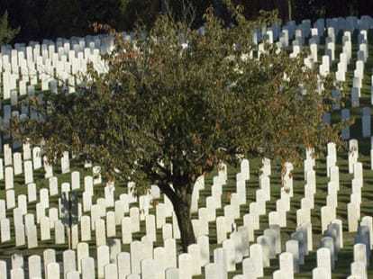 big cemetery crisis in islamabad pakistan 