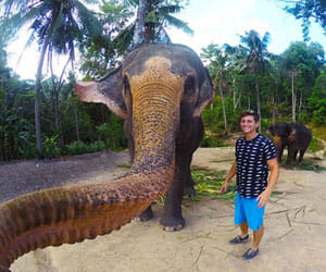 elephant snapped its own selfie