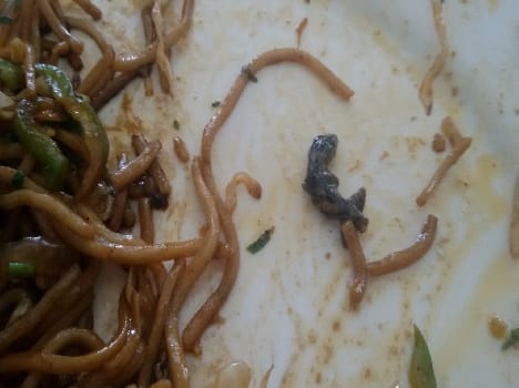 Punjabi Handi hotel lizard turned into Chaumin