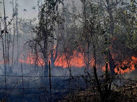 Open University campus Ddki fire