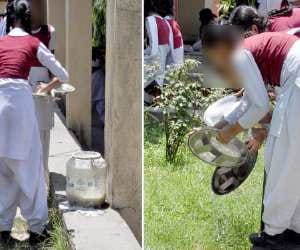 new decree at girl student to want mid day meal