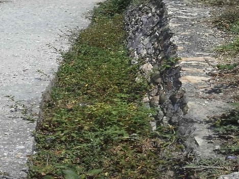 No water in the canal, how the sowing of paddy