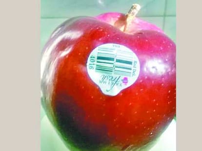 pm modi yet not increased import duty on apple from china.