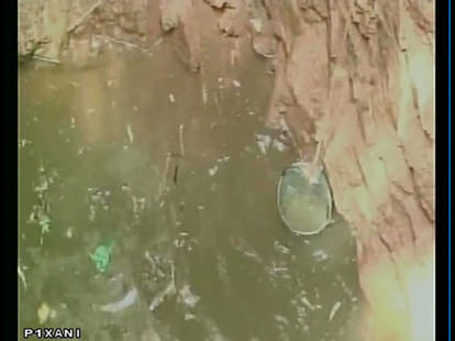 200 Dalits were prevented from drinking water on well