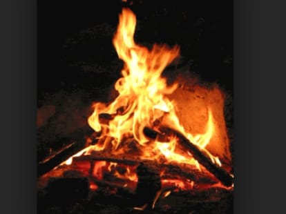 widow woman burn alive in front of 100 people in bihar 