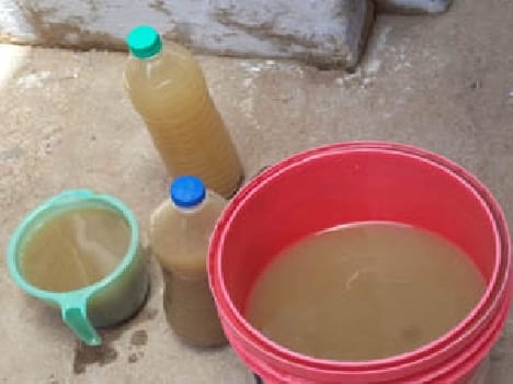 The dirty water quench thirst in the summer heat