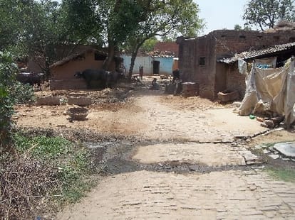 nephew shoots his uncle in uttar pradesh ?for revenge