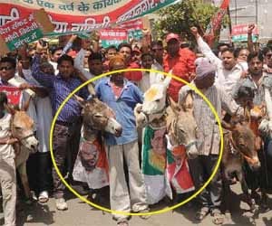 sp worker protest against narendra modi