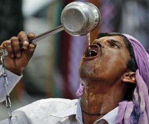 heat become scourge