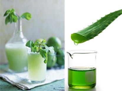 how to know any food edible or not