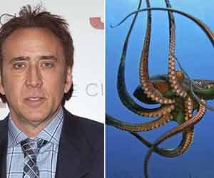 most expensive celebrity pets