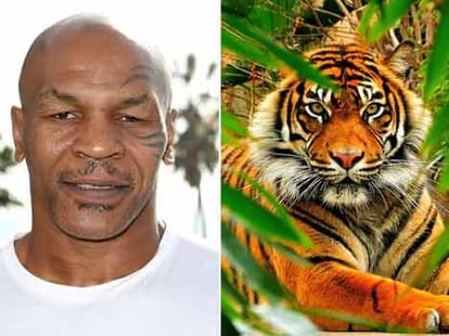 most expensive celebrity pets