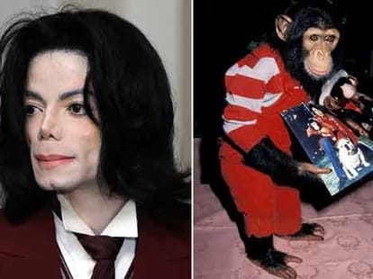 most expensive celebrity pets