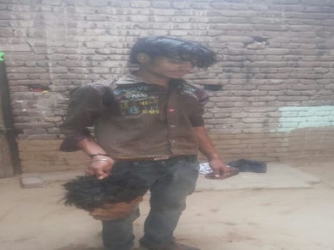 woman cu in pieces of her husband