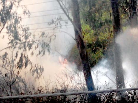 pathankot, fire, forest, FCI, store 