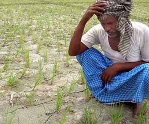 farmers at border unable to plaugh crop