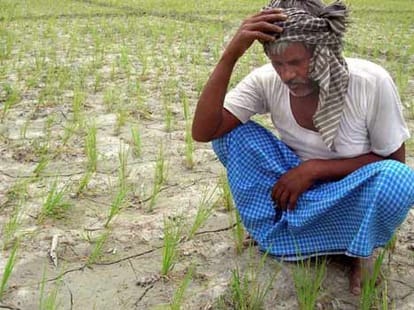 1088 farmer died in maharashtra
