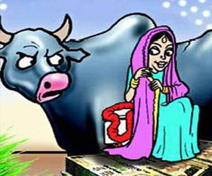 woman wrote a letter to chief minister