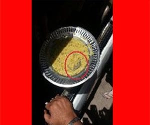 Lizard found in anganbari food in delhi