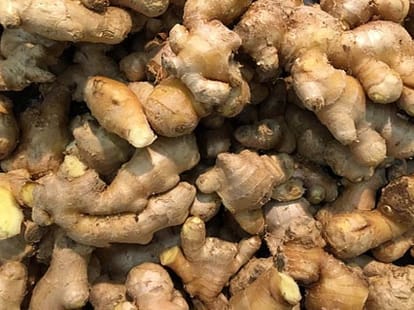 Top 5 Natural Antibiotics    