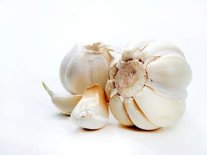 Top 5 Natural Antibiotics    