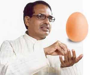 New revealing in no offering case of egg on madhya pradesh