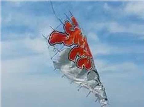 700 KG of kite fall , four people injured