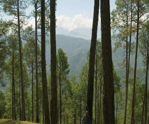 IFS wants change in forest rights act.