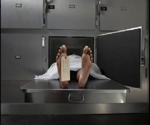 worker died during operation