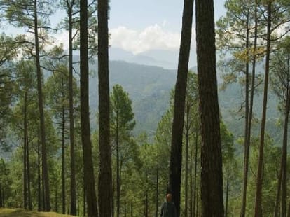 Foreigner scientist learn Biodiversity and ecosystem for van gujjar.
