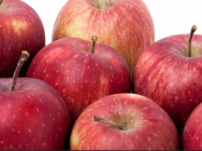 high court decision on apple tree cutting.