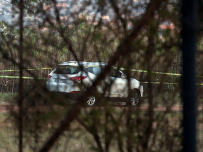 lion killed a woman in safari park