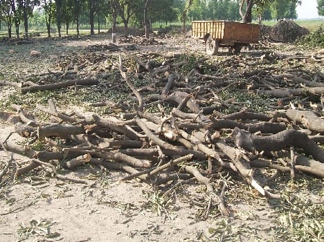 SDM raided the seized timber