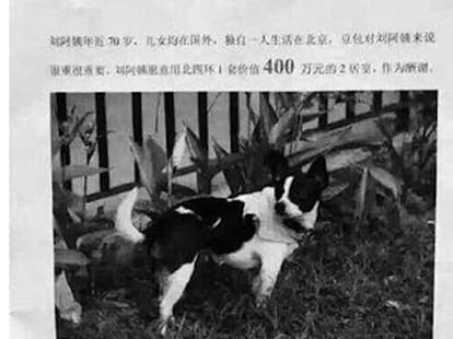 woman offers her house for searching her dog