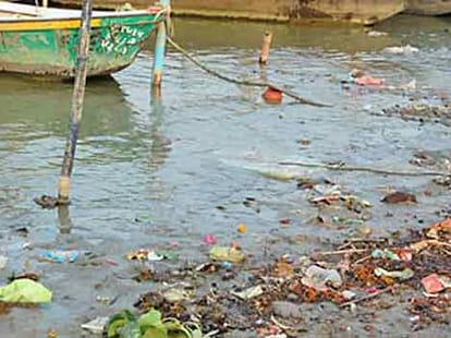 300 breads of fishes are finished due to dirty water of ganga