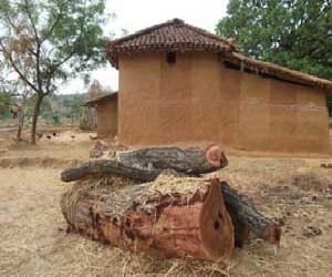 The body will burn cheaper wood