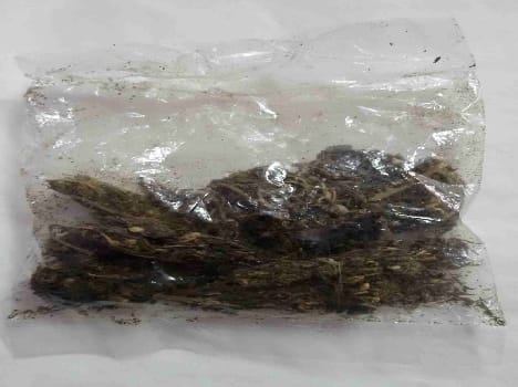 Ramnagar is the booming drug trade