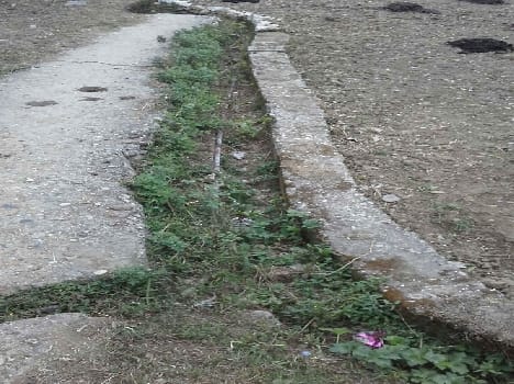Opened in canal water, dried farm