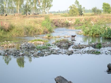 Rich natural resources in the district of pollution poisoning