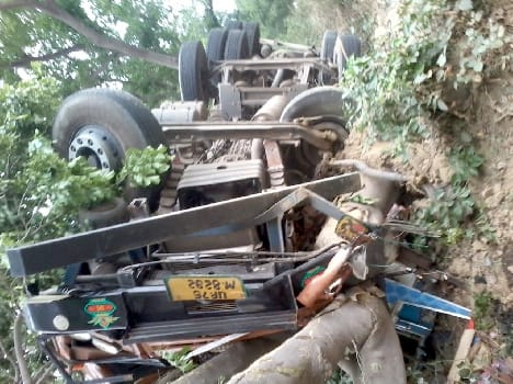 Nilgai truck reflex save affair
