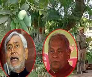 new battle for mango between nitish and manjhi